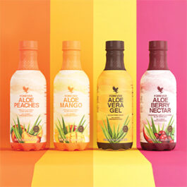 4-Pack - Aloe Combo